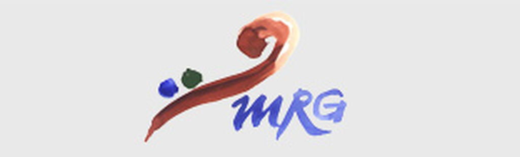 Logo Amberg