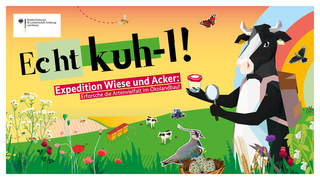 Plakat Echt Kuh-l 2026